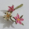 Beyaz-Pembe