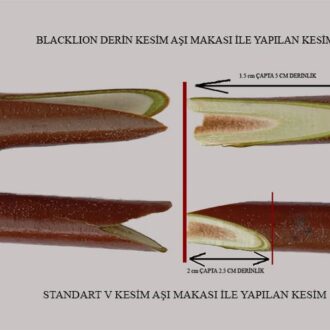 Alternative view of Blacklion Aşı Makası (Derin Kesim)